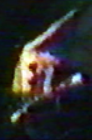 Picture for song 'Two solos, same song, spliced together (mid '80s)' by artist 'XRAY's Cowbell by Misadventure'