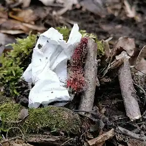 Picture for song '20240220_205435_etwas_anders_fs' by artist '786 scheint-Al'lahs Bande'