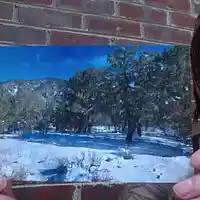 Picture for song ' Welcome to Shady Grove' by artist 'Barry Bailey Roaring Mouse'