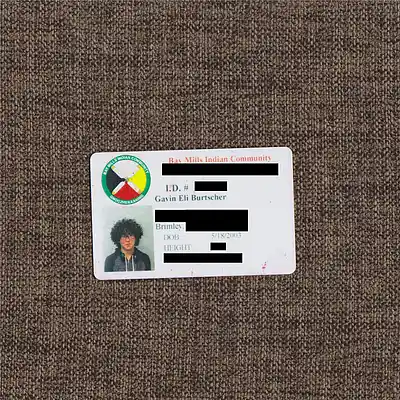 Picture for song 'The Voices Inside My Head - Instrumental' by artist 'GAVIN PARISHED'