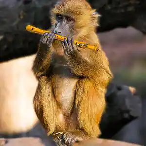 Picture for song '[FREE] FLUTE - BEAT FOR #RUSS' by artist 'IOINO Drugz Beats'