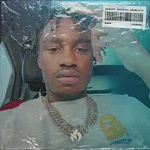 Picture for song 'Strat' by artist 'MadReal'