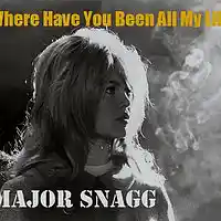 Picture for song 'Where Have You Been All My Life (Merseybeat Style)' by artist 'Major Snagg'