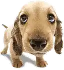 Picture for song 'A Blue Sort of Monday' by artist 'The Ezra Blue Trio'