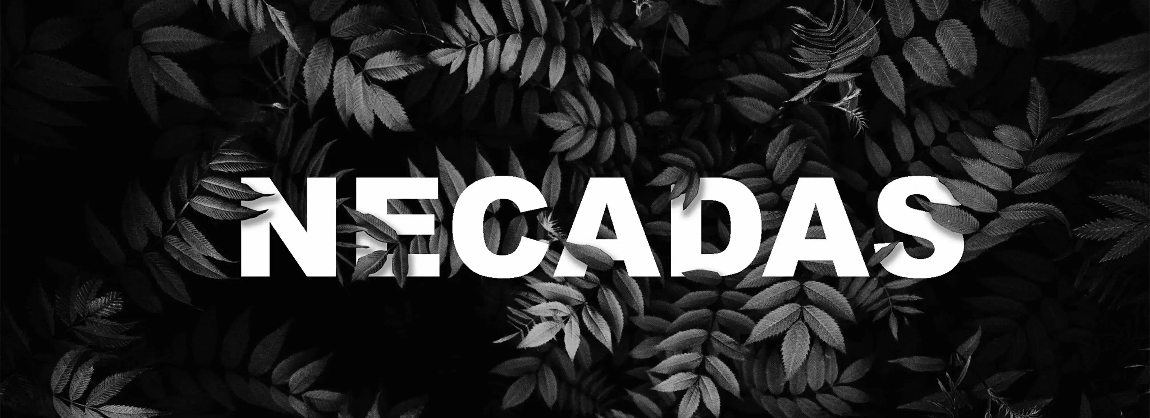 cover pic