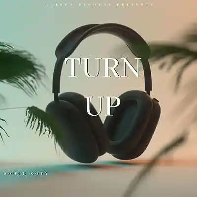Picture for song 'Turn up' by artist 'Bobee Koty'