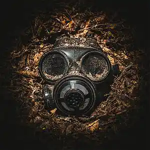 Song picture