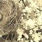 Picture for song 'Devotion (not complete)' by artist 'LUNA BEATS'