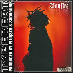 Picture for song 'BONFIRE (BUY 1 GET 1 FREE)' by artist 'PLUQSTA'