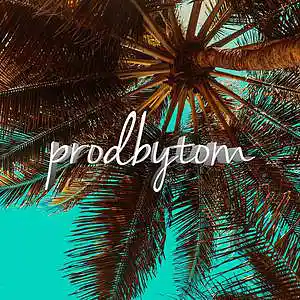 Picture for song '"Hope" Melodic Trap Type Beat' by artist 'prodbytom'