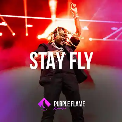 Picture for song 'Stay Fly (Buy 1 Get 1 Free)' by artist 'PURPLE FLAME BEATS'