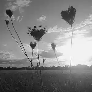 Picture for song 'In Erinnerung An René' by artist 'Restsound'