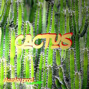 Picture for song 'Cactus * trap beat 137 bpm' by artist 'Skunky Prod Beatmaker'