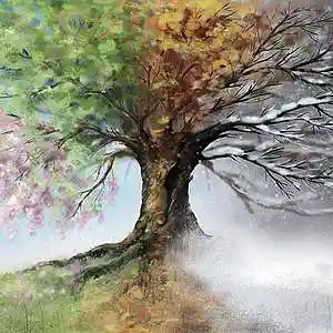 Picture for song 'SAISON 73 BPM' by artist 'SOULPHOENIX PRODUCTION Soul-G.i'