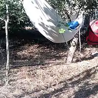 Picture for song 'A pine hammock 6.....' by artist 'stefanos grigoriadis'