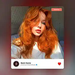 Picture for song 'Drake x Meek Mill type beat - Back Home' by artist 'Surprise MF beats'