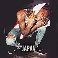 Picture for song 'NEW(Japan) ' by artist 'Yung Murk Beats'
