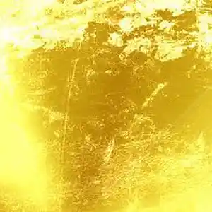 Picture for song 'Golden Shade' by artist 'Gabriel 880'