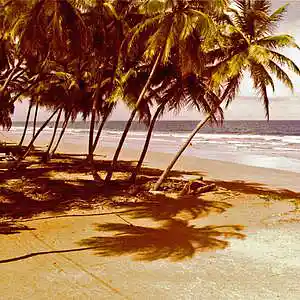 Picture for song 'SEA OF JOY (s. winwood)' by artist 'Gari Saint'