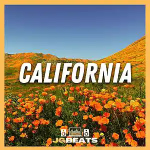 Picture for song 'California - Indie Pop Beat' by artist 'Joe Gautrey'