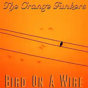 Picture for song 'Bird On A Wire' by artist 'The Orange Funkers'