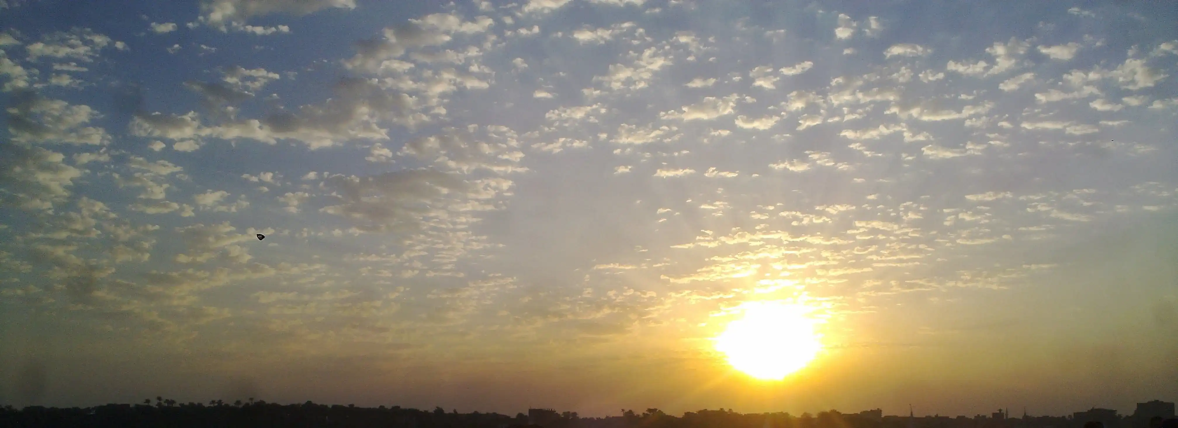 cover pic