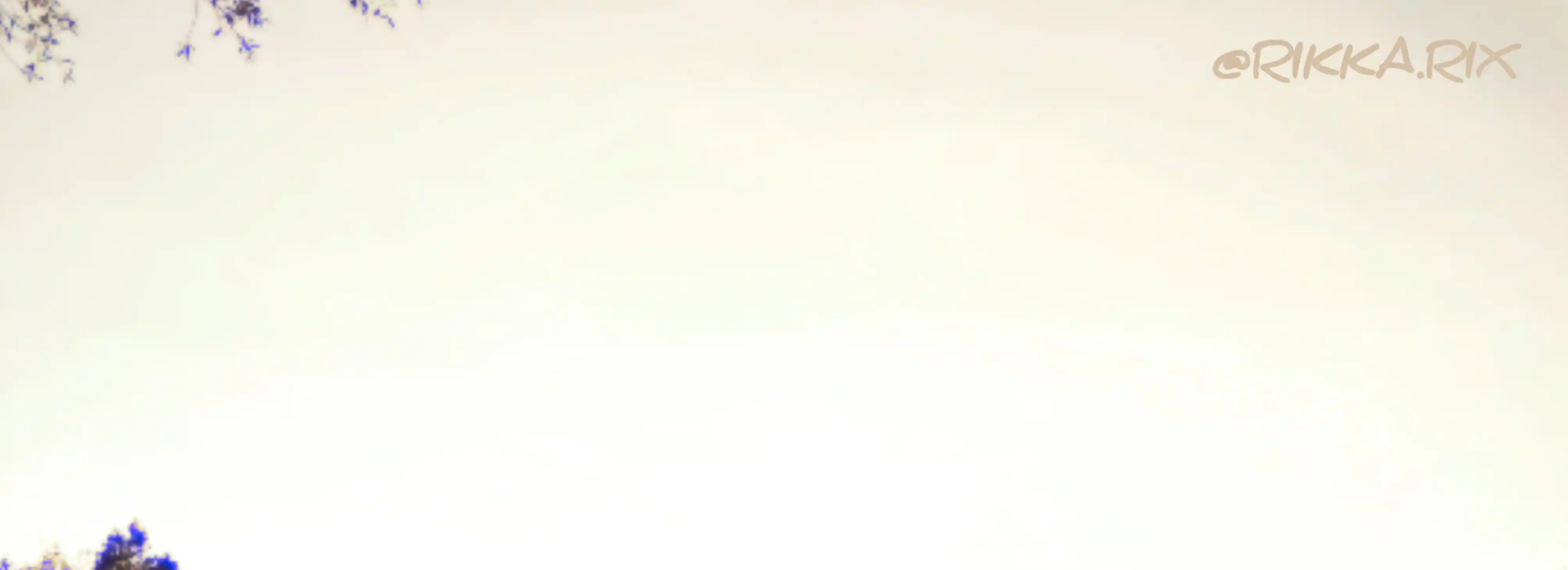 cover pic