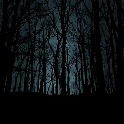 Picture for song 'Woody' by artist 'beatsbygeneral'