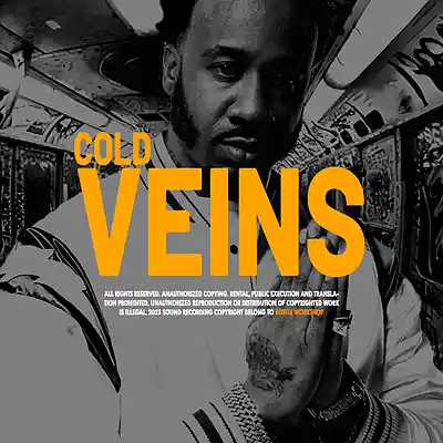 Picture for song 'COLD VEINS (BUY 1 GET 2 FREE)' by artist 'BUSTLE WORKSHOP'