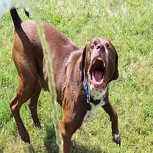 Picture for song 'chinese dinner Beat' by artist 'Discord412'