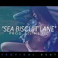 Picture for song ''Sea Biscuit Lane' // TROPICAL EDM POP BEAT // ' by artist 'LiL Medic Beats'