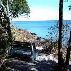 Picture for song 'BENCH BY THE SEA' by artist 'tamsnumber4'