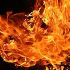 Picture for song 'Warm-Up (R&B/Rap) FREEDL' by artist 'The T.R.O.N.'