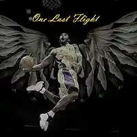 Picture for song 'ONE LAST FLIGHT' by artist 'TONEzEp1K Pro'