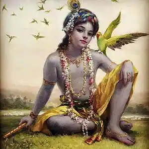 Picture for song 'Maha Mantra' by artist 'BARIBABA'