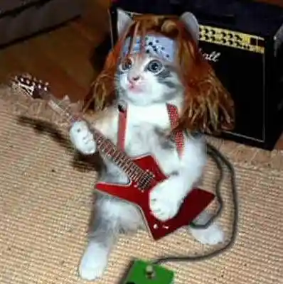 Picture for song 'Rockkk' by artist 'Blind Within'