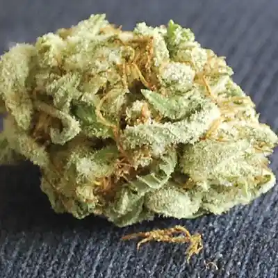 Picture for song 'kush_and_crack.mp3' by artist 'Cali Kush'