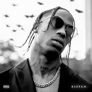 Picture for song 'Paint it black Travis Scott type' by artist 'CHEMIST'