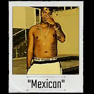 Picture for song 'Beat Estilo MC Cebezinho x Oldilla "Mexican"' by artist 'DJ GMZ'