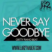 Picture for song 'NEVER SAY GOODBYE' by artist 'EAR 2 THA BEAT'