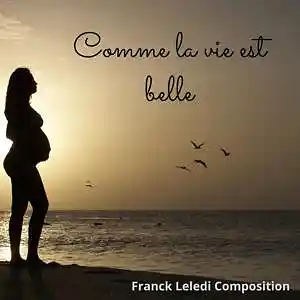 Picture for song 'Comme la vie est belle' by artist 'franck leledi'