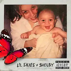Picture for song 'Shelby (Lil Skies Type Beat)(BUY 1 GET 2 FREE)' by artist 'AYOCXRN (Formerly King Corn Beatzz)'