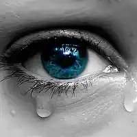 Picture for song 'Love Falls Down (Trap Beat)' by artist 'Mozart Jones Productions (Mozarts Beats)'