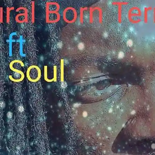 Picture for song 'Respeck' by artist 'Nattural Born Terror (NBT)'