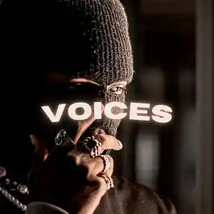 Picture for song 'Type Beat Drill - Voices' by artist 'Prod.LDB'