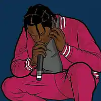 Picture for song 'Birdz' by artist 'Sylvester Beats'