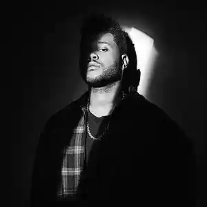 Picture for song 'Never' by artist 'THE GOD ADOT'