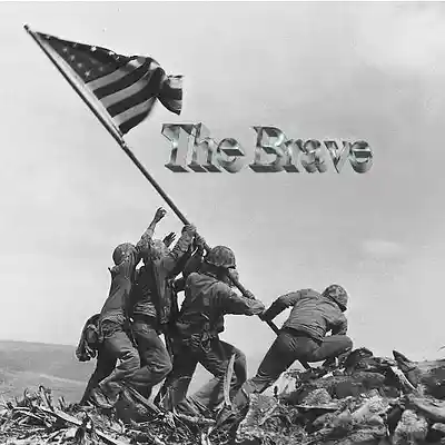 Picture for song 'The Brave' by artist 'Bob Forbes'