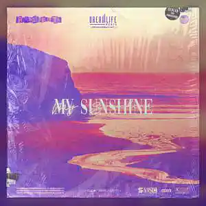 Picture for song 'My Sunshine' by artist 'dreamlifebeats'