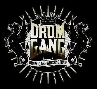 Picture for song 'SkyDiving' by artist 'Drum Gang'